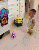 Sticky Ball - Brinquedo Bola ao Alvo 3+ Criativaê 